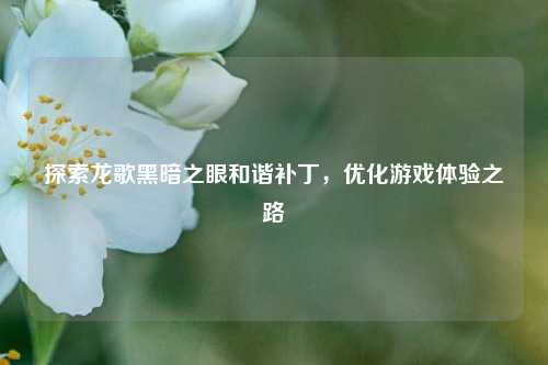 探索龙歌黑暗之眼和谐补丁,优化游戏体验之路