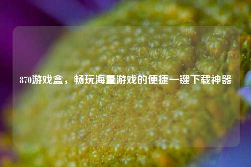 870游戏盒，畅玩海量游戏的便捷一键下载神器