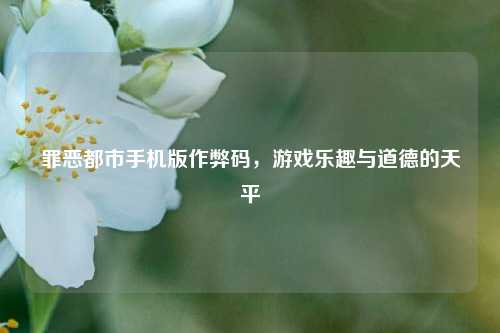 罪恶都市手机版作弊码,游戏乐趣与道德的天平