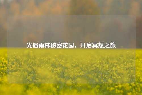 光遇雨林秘密花园,开启冥想之旅