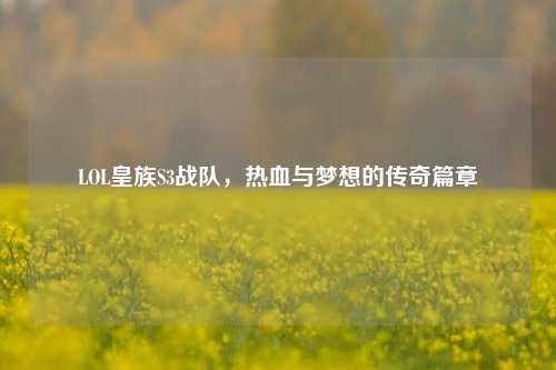 LOL皇族S3战队,热血与梦想的传奇篇章