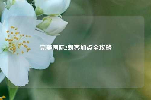 完美国际2刺客加点全攻略