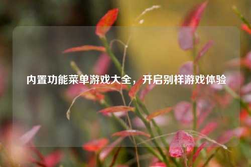 内置功能菜单游戏大全,开启别样游戏体验