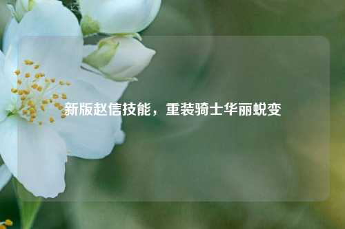 新版赵信技能,重装骑士华丽蜕变