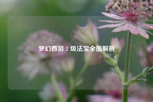 梦幻西游 2 级法宝全面解析