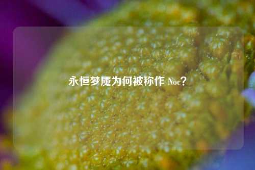 永恒梦魇为何被称作 Noc?