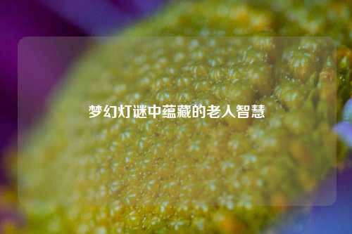 梦幻灯谜中蕴藏的老人智慧