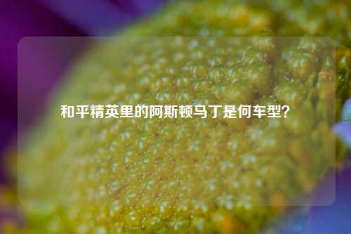 和平精英里的阿斯顿马丁是何车型?
