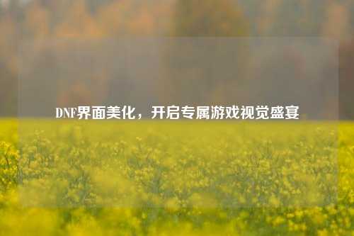 DNF界面美化,开启专属游戏视觉盛宴