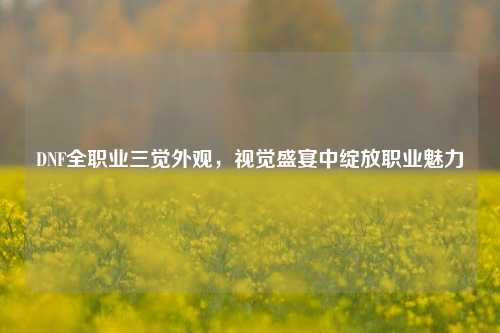 DNF全职业三觉外观,视觉盛宴中绽放职业魅力