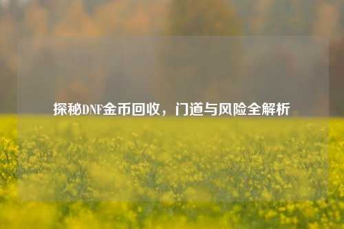 探秘DNF金币回收,门道与风险全解析