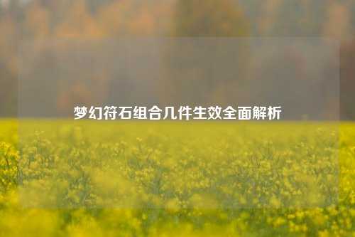 梦幻符石组合几件生效全面解析