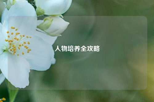 人物培养全攻略