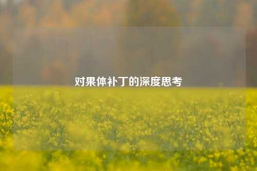 对果体补丁的深度思考