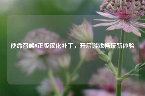 使命召唤9正版汉化补丁,开启游戏畅玩新体验