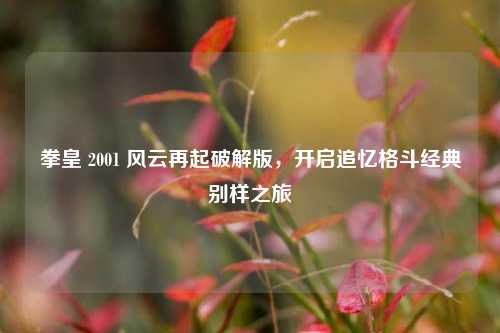 拳皇 2001 风云再起破解版，开启追忆格斗经典别样之旅