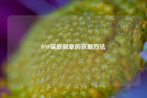 DNF镶嵌徽章的获取方法
