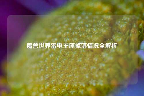魔兽世界雷电王座掉落情况全解析