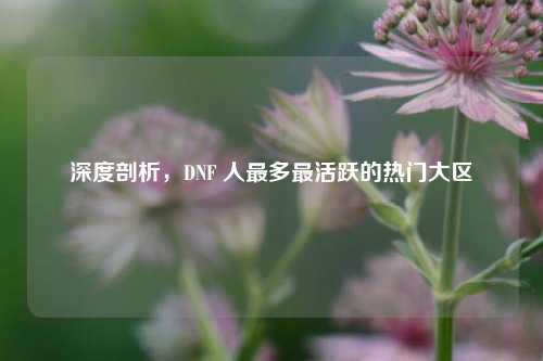 深度剖析,DNF 人最多最活跃的热门大区