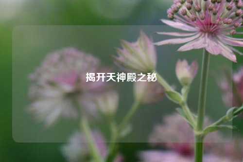 揭开天神殿之秘