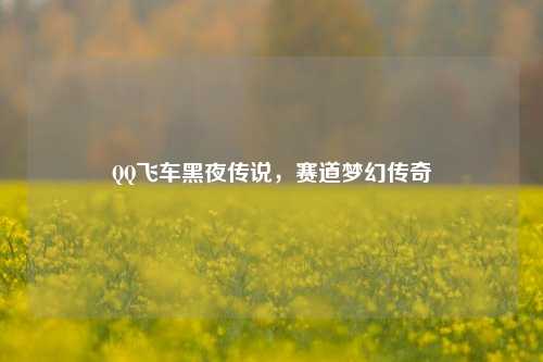 QQ飞车黑夜传说，赛道梦幻传奇