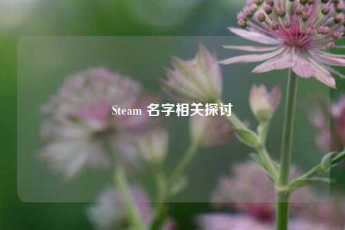Steam 名字相关探讨