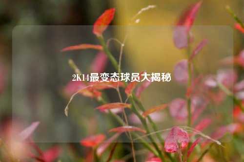 2K14最变态球员大揭秘