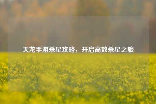 天龙手游杀星攻略，开启高效杀星之旅