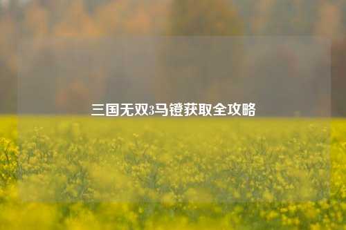 三国无双3马镫获取全攻略