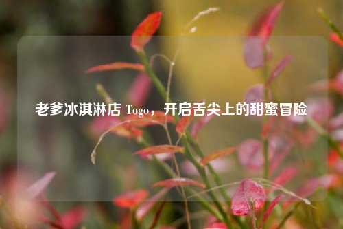 老爹冰淇淋店 Togo,开启舌尖上的甜蜜冒险