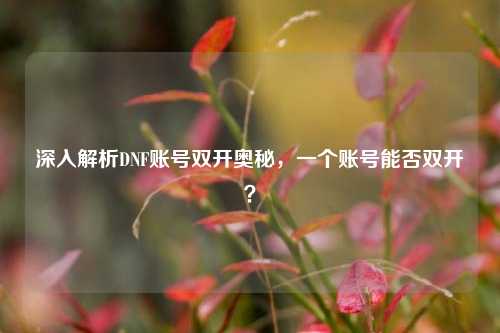 深入解析DNF账号双开奥秘,一个账号能否双开?