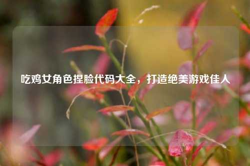 吃鸡女角色捏脸代码大全，打造绝美游戏佳人