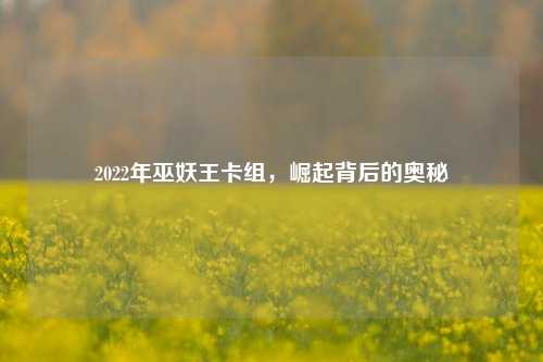2022年巫妖王卡组，崛起背后的奥秘