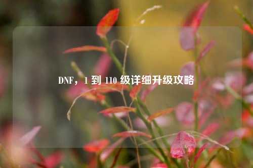 DNF,1 到 110 级详细升级攻略