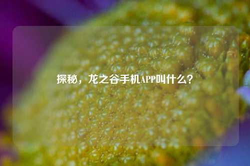 探秘,龙之谷手机APP叫什么?