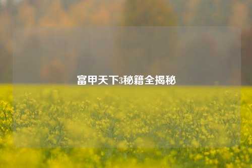 富甲天下3秘籍全揭秘