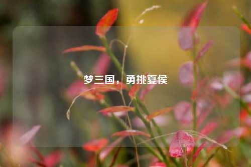 梦三国，勇挑夏侯惇