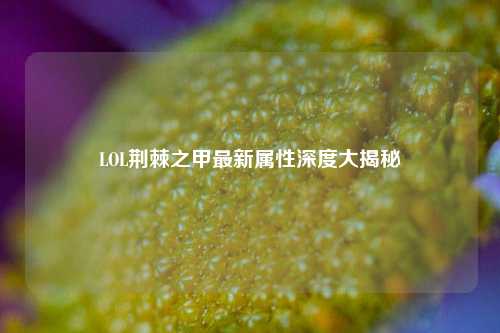 LOL荆棘之甲最新属性深度大揭秘