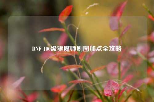 DNF 100级驱魔师刷图加点全攻略