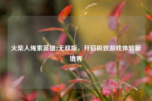 火柴人绳索英雄2无敌版，开启极致游戏体验新境界