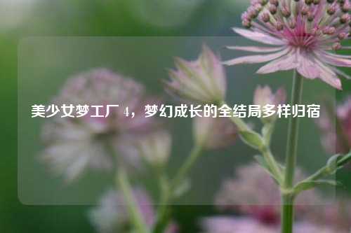 美少女梦工厂 4,梦幻成长的全结局多样归宿