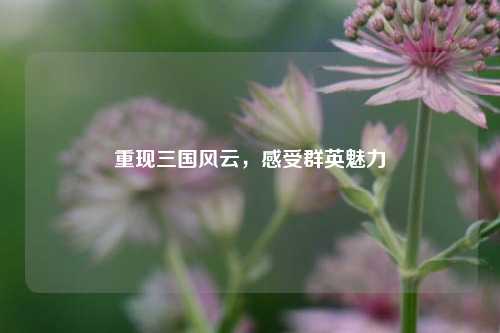 重现三国风云,感受群英魅力