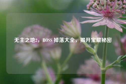 无主之地2，BOSS 掉落大全，揭开宝藏秘密