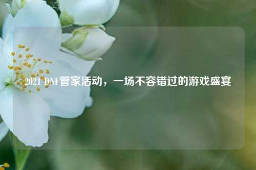 2021 DNF管家活动，一场不容错过的游戏盛宴