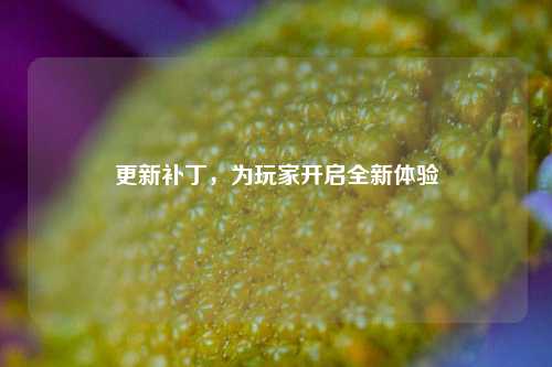 更新补丁，为玩家开启全新体验