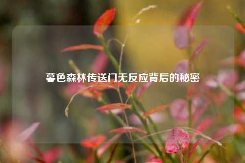 暮色森林传送门无反应背后的秘密