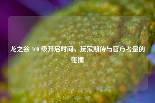 龙之谷 100 级开启时间,玩家期待与官方考量的碰撞