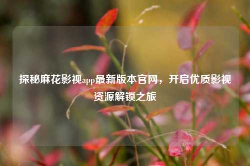 探秘麻花影视app最新版本官网,开启优质影视资源解锁之旅