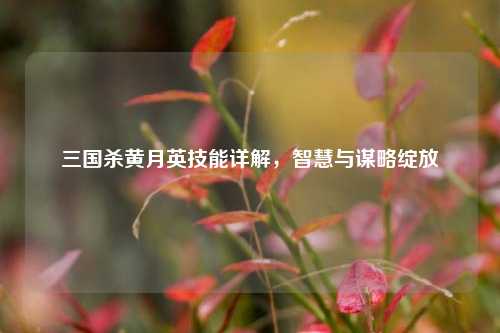 三国杀黄月英技能详解,智慧与谋略绽放