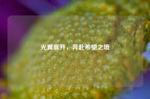 光翼展开,奔赴希望之境